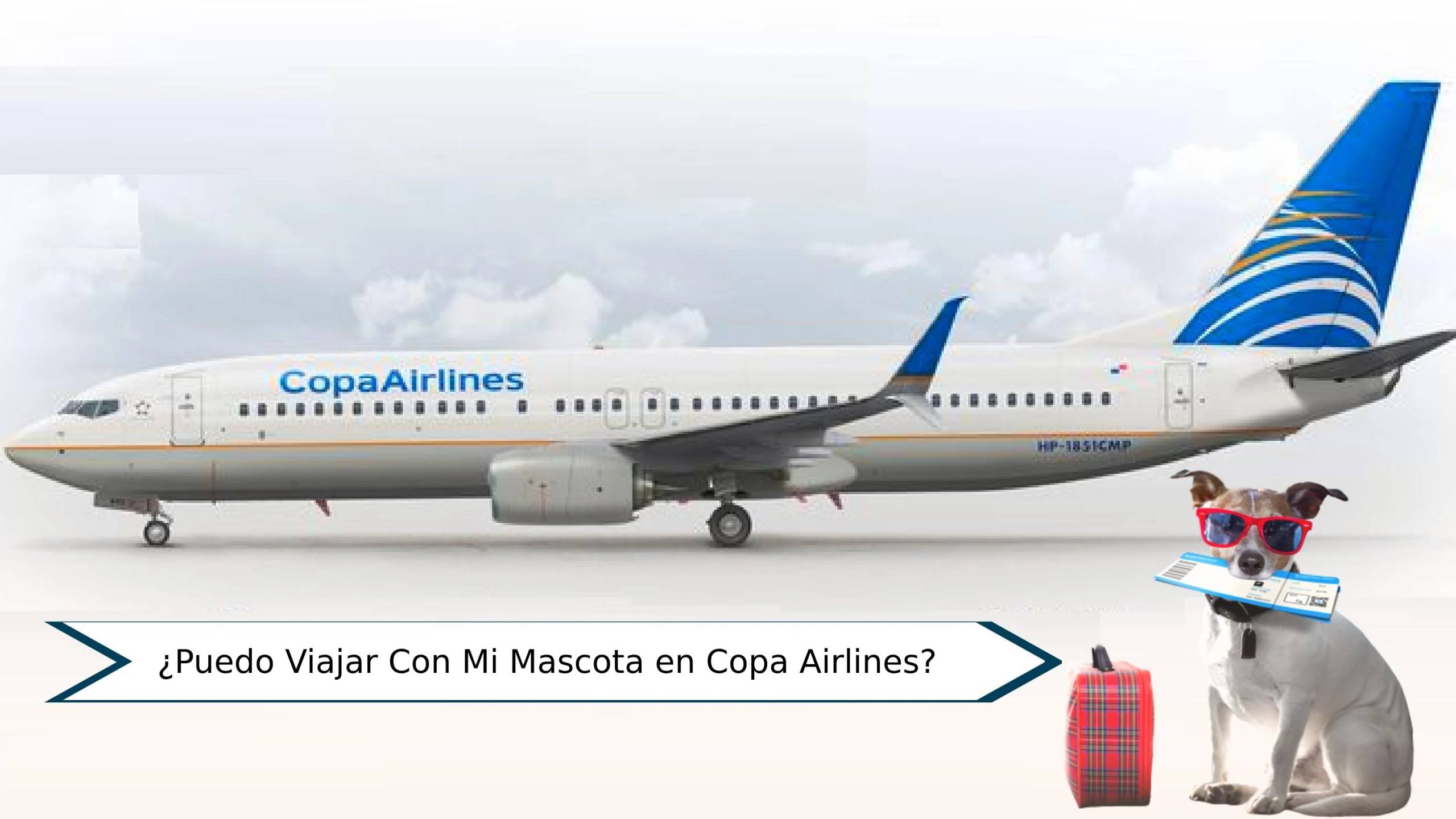¿Puedo Viajar Con Mi Mascota en Copa Airlines?